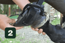 Comprar Zapatos Gatusos para caballo Bandera España La Flamenca de Borgoña Patricia Muñoz VOX