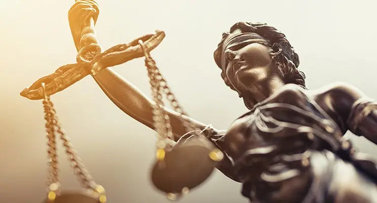 Día Europeo de la Justicia La Flamenca de Borgoña, Bandera de España, Cruz de Borgoña, Patricia Muñoz, VOX, Santiago Abascal 