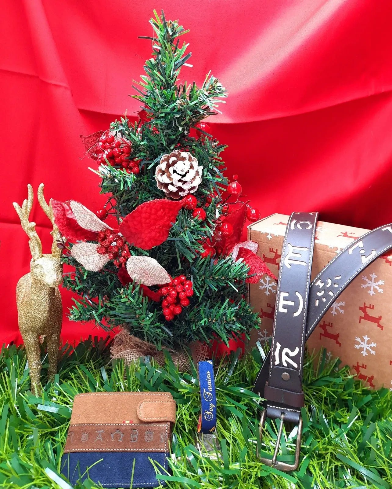 ¡Felices Reyes! La Flamenca de Borgoña, Bandera de España, Cruz de Borgoña, Patricia Muñoz, VOX, Santiago Abascal 