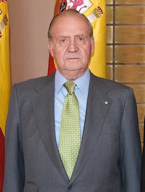 Juan Carlos I de Borbón La Flamenca de Borgoña, Bandera de España, Cruz de Borgoña, Patricia Muñoz, VOX, Santiago Abascal 