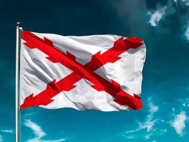 La bandera de los Tercios La Flamenca de Borgoña, Bandera de España, Cruz de Borgoña, Patricia Muñoz, VOX, Santiago Abascal 