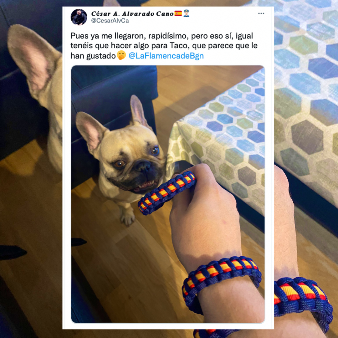 LaFlamencadeBorgoña