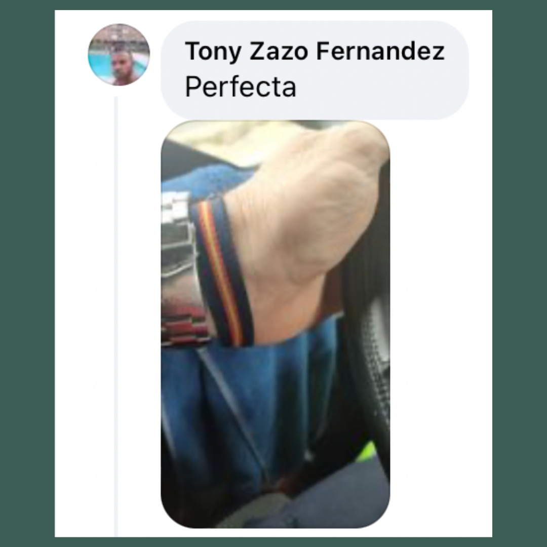 LaFlamencadeBorgoña