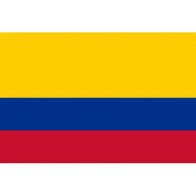 Comprar Bandera de Colombia 150 x 90 cm (Poliéster) La Flamenca de Borgoña Bandera España