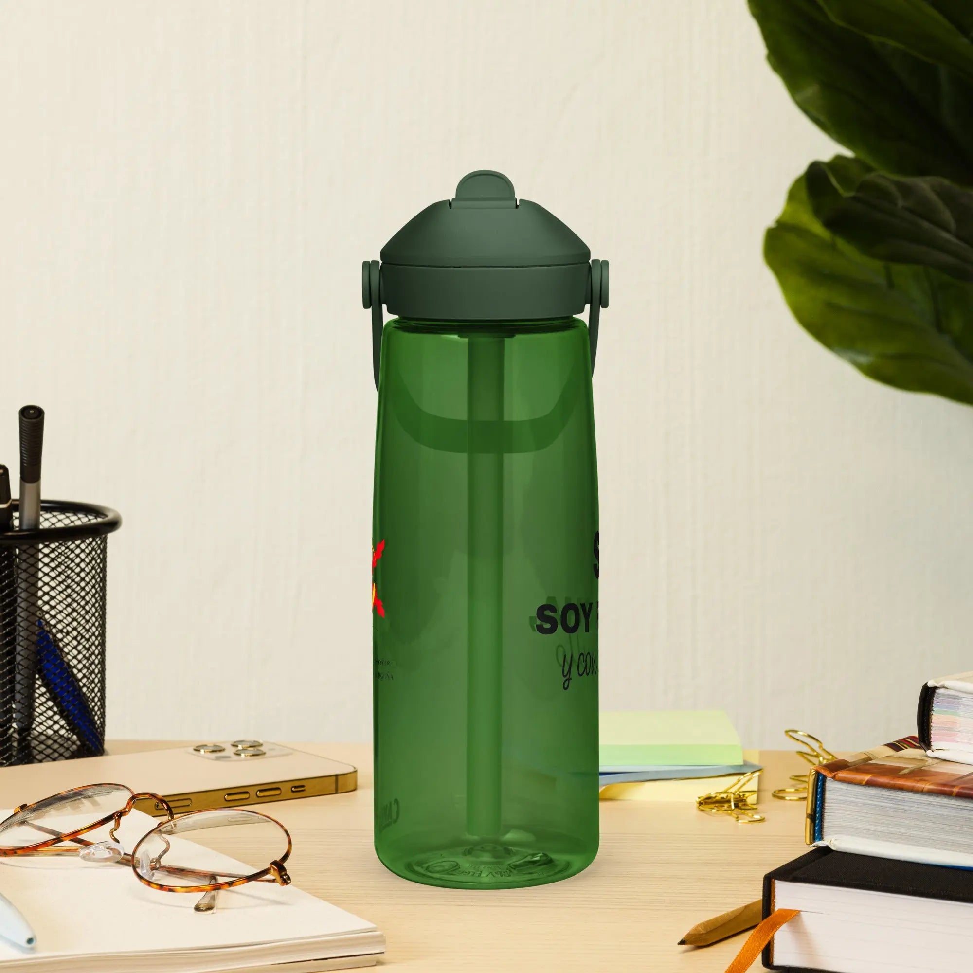 Comprar Botella de agua con tapa y pajita abatible "SÍ, Soy Facha, y con orgullo" La Flamenca de Borgoña Bandera España