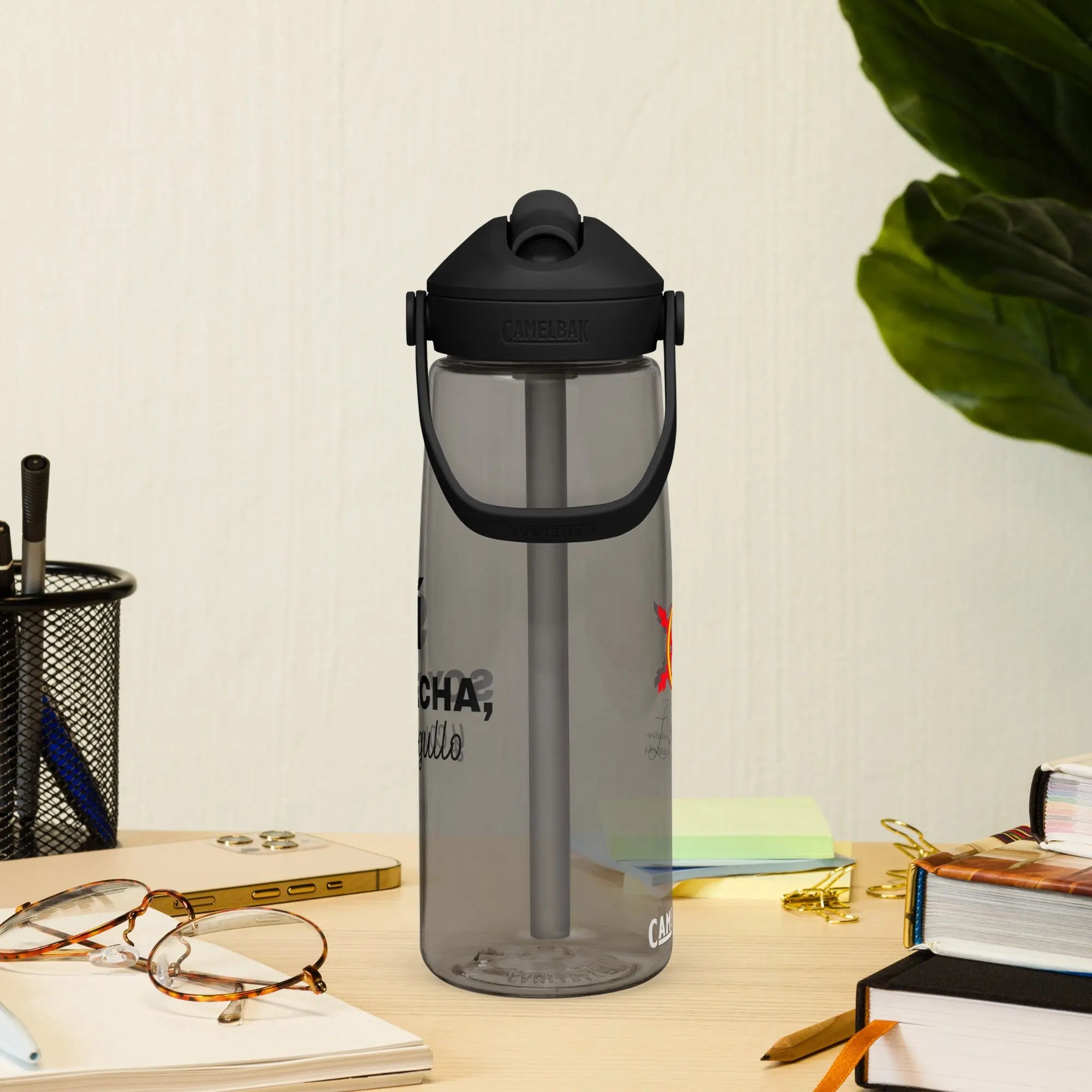 Comprar Botella de agua con tapa y pajita abatible "SÍ, Soy Facha, y con orgullo" La Flamenca de Borgoña Bandera España