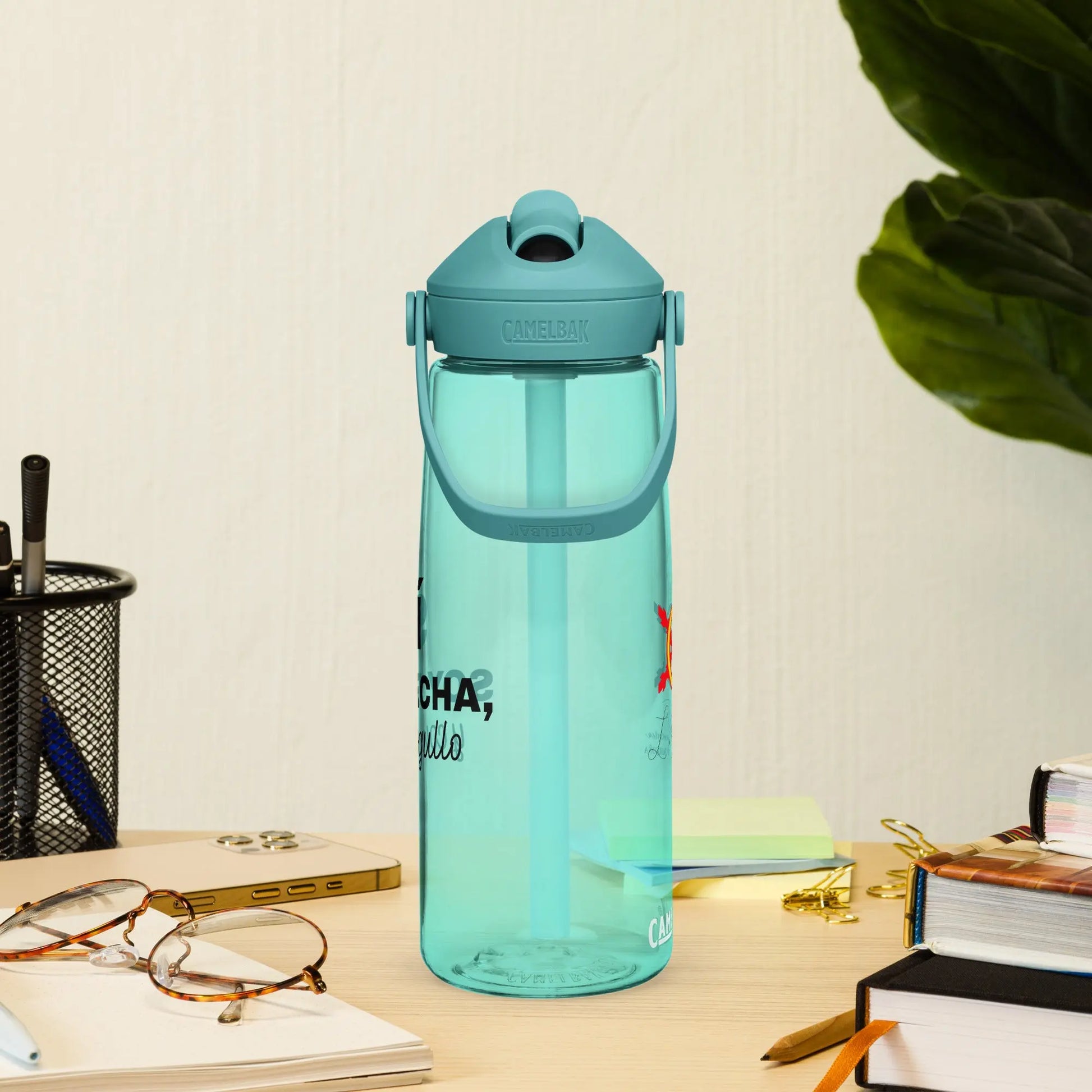 Comprar Botella de agua con tapa y pajita abatible "SÍ, Soy Facha, y con orgullo" La Flamenca de Borgoña Bandera España