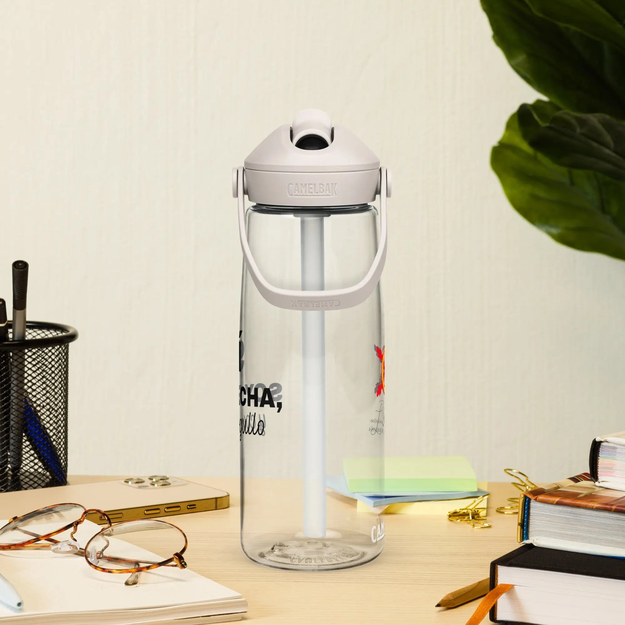 Comprar Botella de agua con tapa y pajita abatible "SÍ, Soy Facha, y con orgullo" La Flamenca de Borgoña Bandera España