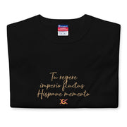 Comprar Camiseta Champion hombre "Tu regere imperio fluctus Hispane Memento" La Flamenca de Borgoña Bandera España