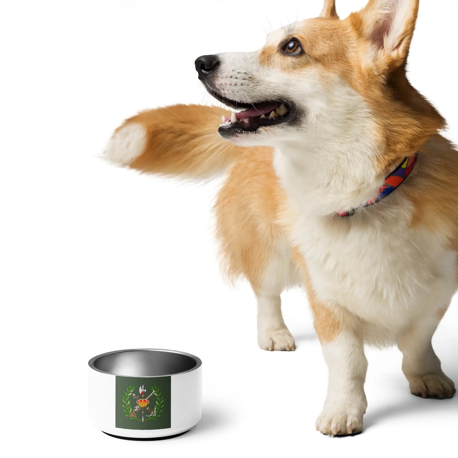 Comprar Plato Legión para mascota Bandera España La Flamenca de Borgoña Patricia Muñoz VOX