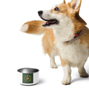 Comprar Plato Legión para mascota Bandera España La Flamenca de Borgoña Patricia Muñoz VOX