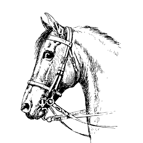 Caballos