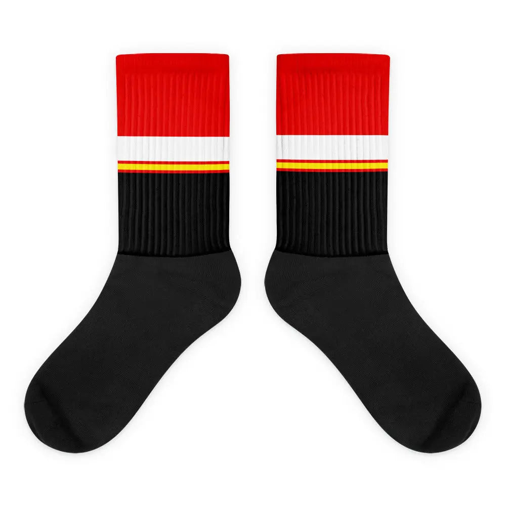 Comprar Calcetines bandera España Bandera España La Flamenca de Borgoña Patricia Muñoz VOX