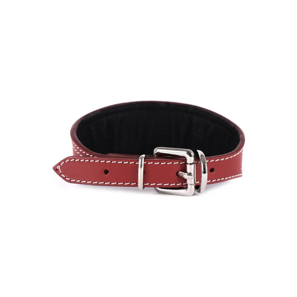 Comprar Collar de cuero para Galgo bocado burdeos La Flamenca de Borgoña, Bandera de España, Cruz de Borgoña, Patricia Muñoz, VOX, Santiago Abascal 