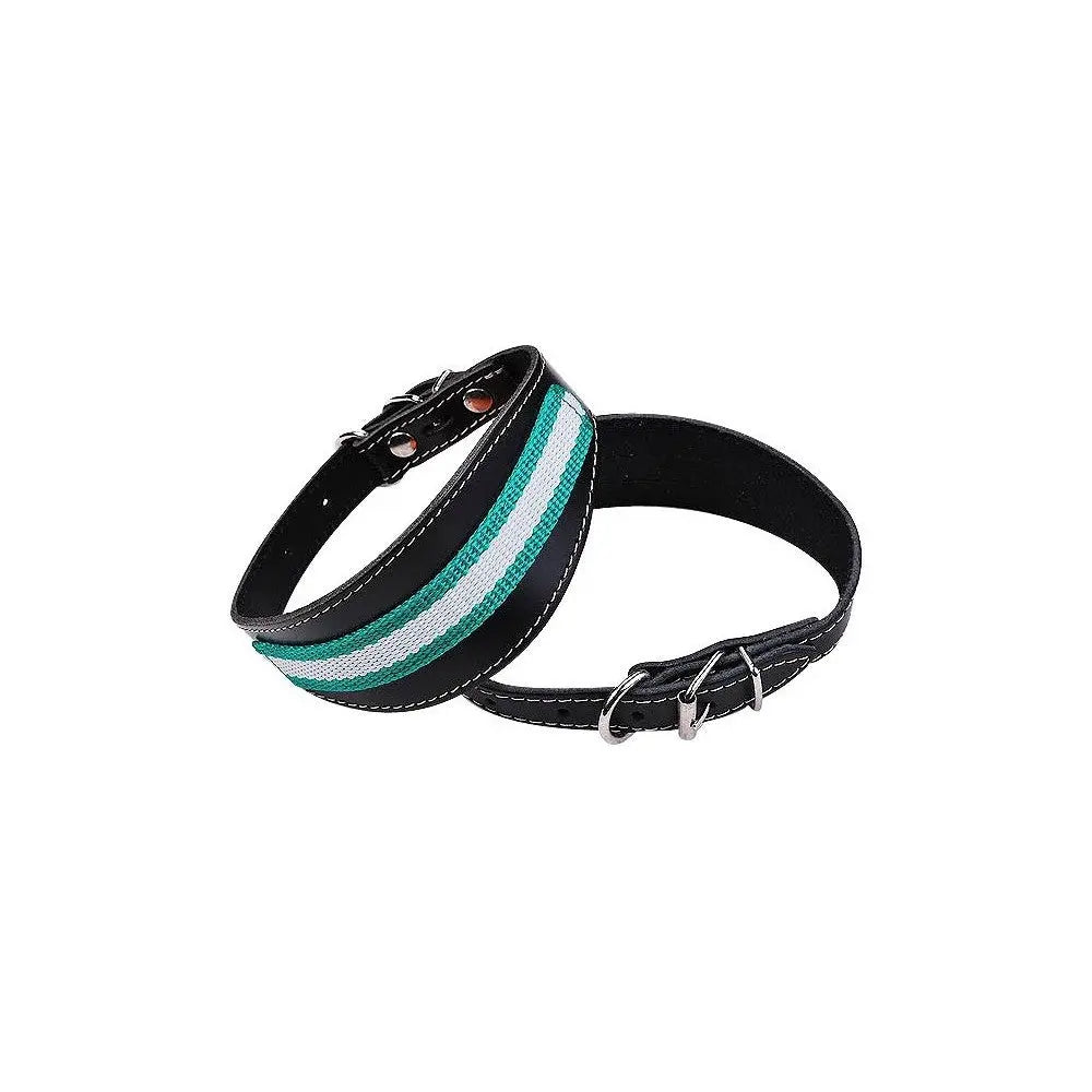 Lederhalsband für Greyhounds mit Futter und andalusischer Flagge