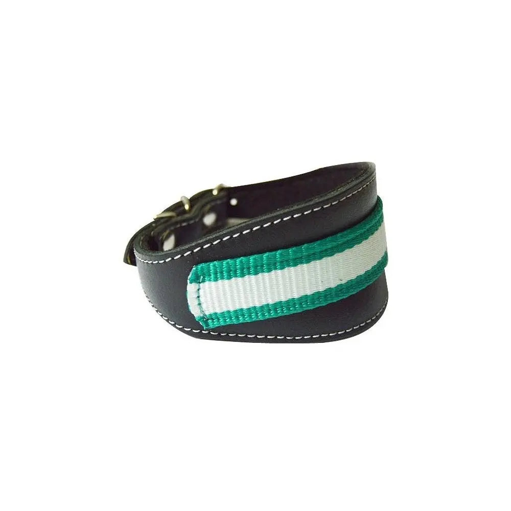 Comprar Collar para Whippet y Galgo con forro y Bandera de Andalucía La Flamenca de Borgoña, Bandera de España, Cruz de Borgoña, Patricia Muñoz, VOX, Santiago Abascal 