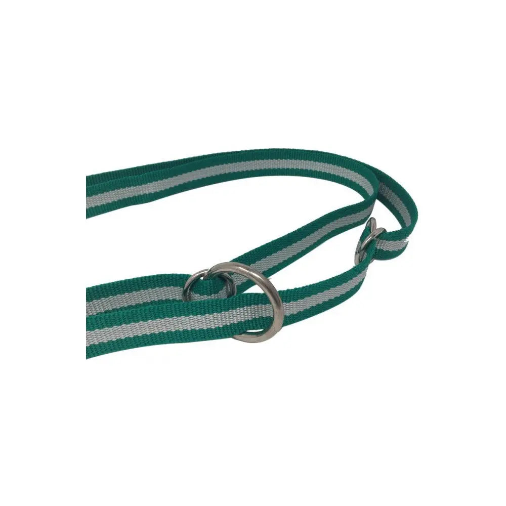 Comprar Correa nylon adiestramiento multiposición Bandera Andalucía Bandera España La Flamenca de Borgoña Patricia Muñoz VOX