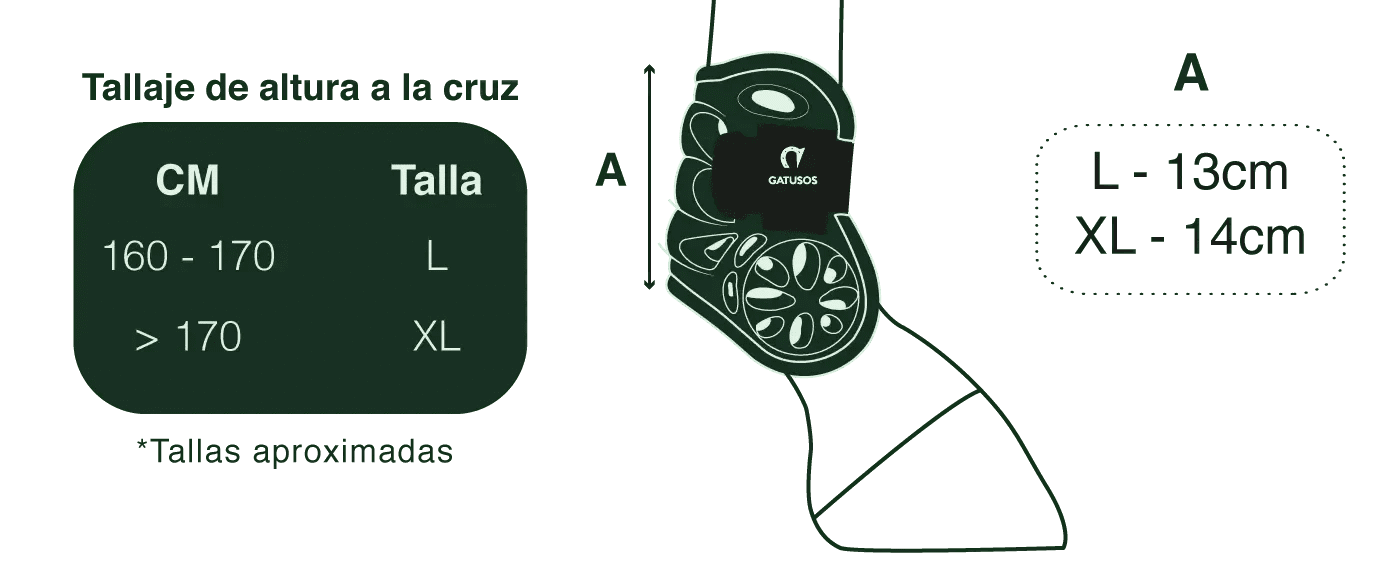 Comprar Protector Menudillo AIR Gatusos Bandera España La Flamenca de Borgoña Patricia Muñoz VOX