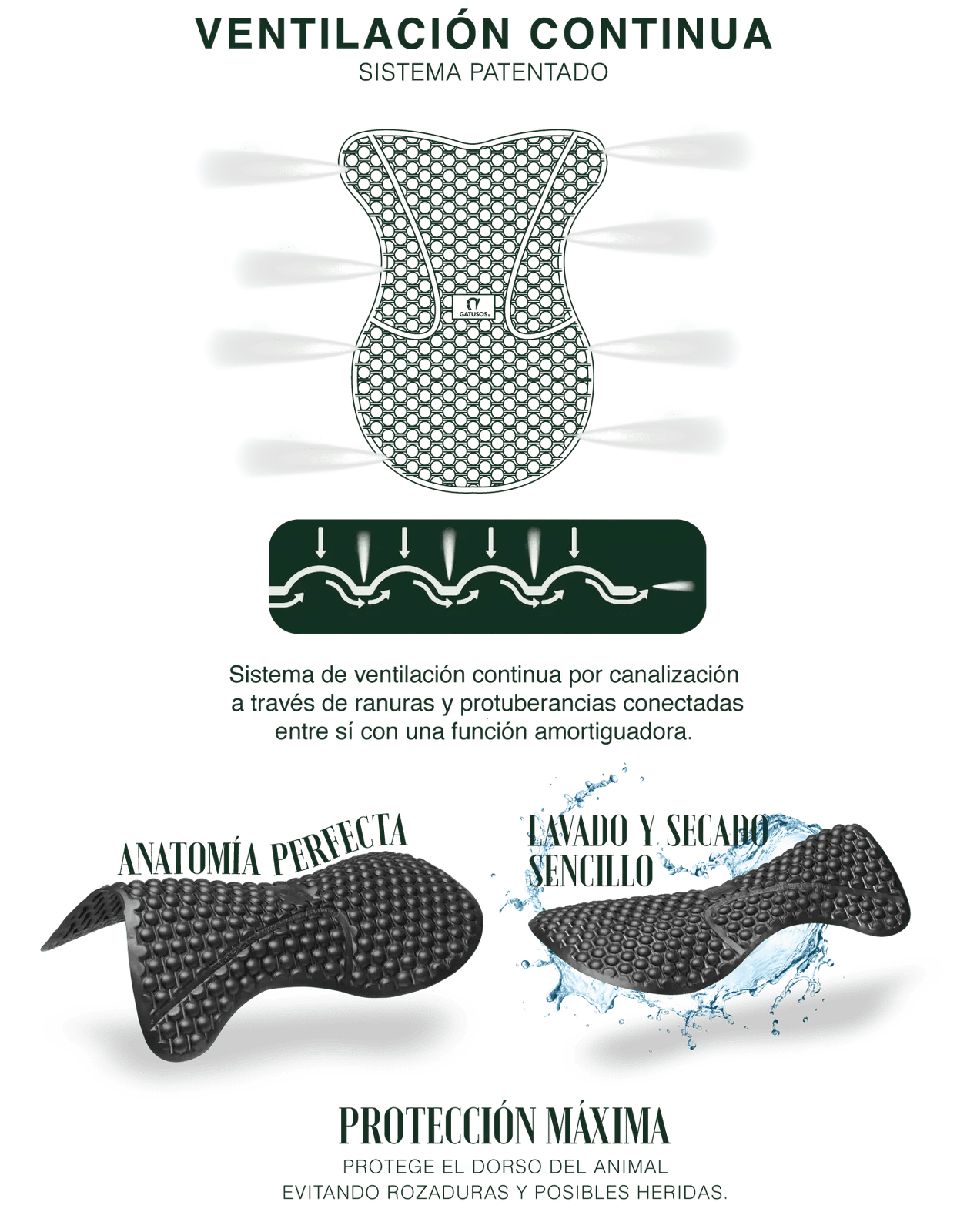 Comprar Salvacruz DRAIN Gatusos para caballos Bandera España La Flamenca de Borgoña Patricia Muñoz VOX