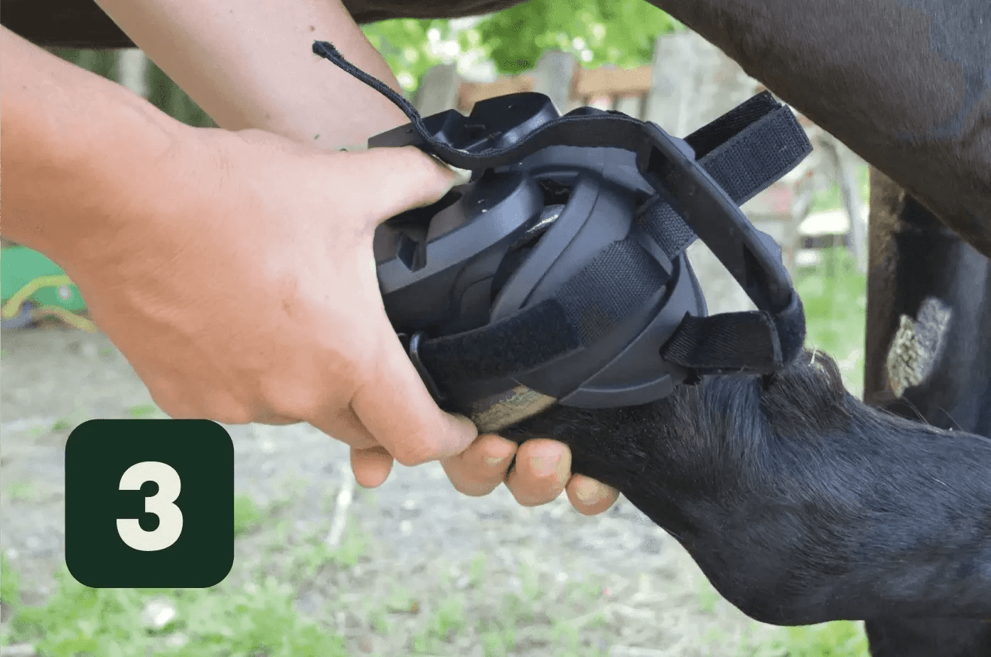Comprar Zapatos Gatusos para caballo Bandera España La Flamenca de Borgoña Patricia Muñoz VOX