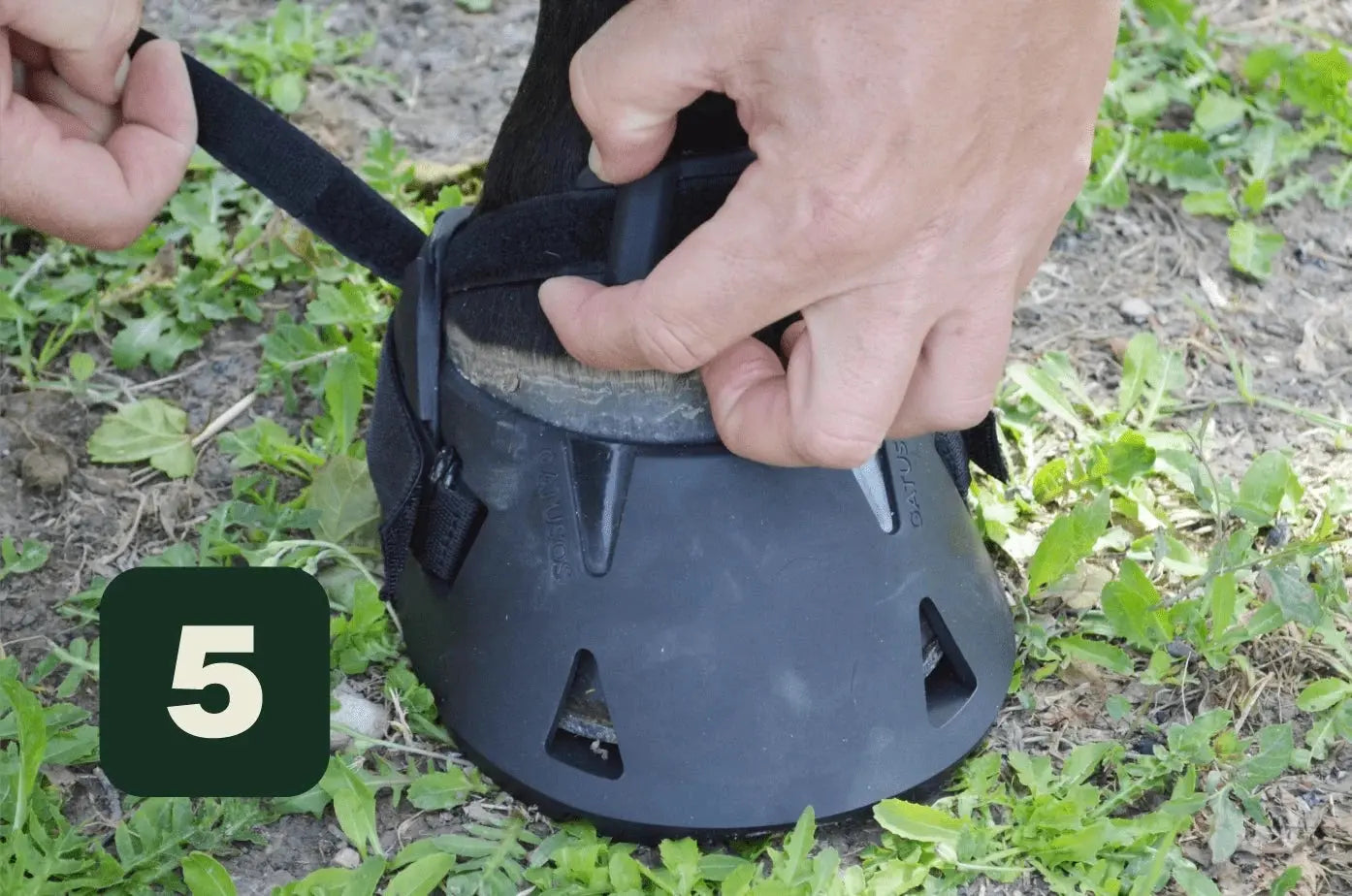 Comprar Zapatos Gatusos para caballo Bandera España La Flamenca de Borgoña Patricia Muñoz VOX