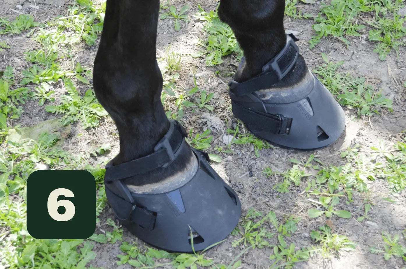 Comprar Zapatos Gatusos para caballo Bandera España La Flamenca de Borgoña Patricia Muñoz VOX